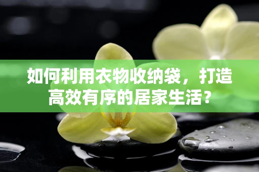 如何利用衣物收纳袋，打造高效有序的居家生活？