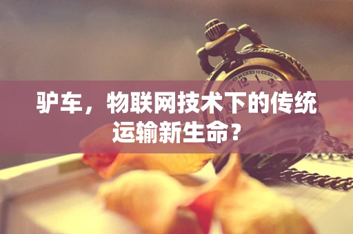 驴车，物联网技术下的传统运输新生命？