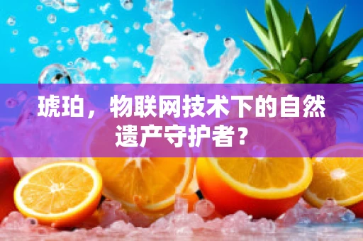 琥珀，物联网技术下的自然遗产守护者？