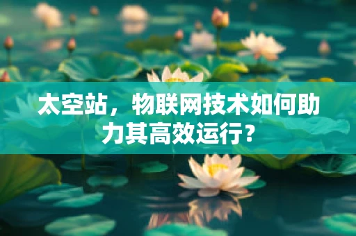 太空站，物联网技术如何助力其高效运行？
