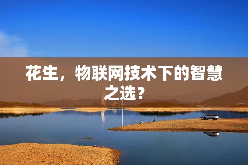 花生，物联网技术下的智慧之选？
