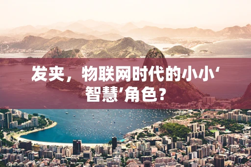 发夹，物联网时代的小小‘智慧’角色？