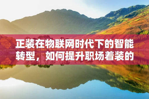 正装在物联网时代下的智能转型，如何提升职场着装的个性化与便捷性？