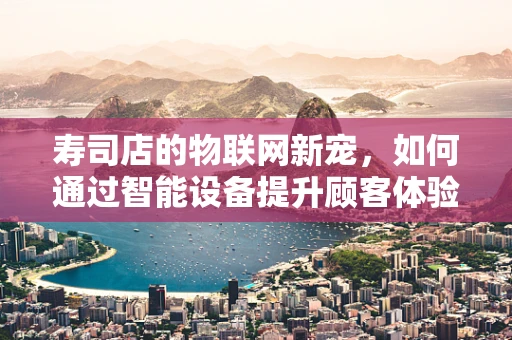 寿司店的物联网新宠，如何通过智能设备提升顾客体验？