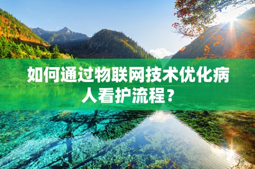 如何通过物联网技术优化病人看护流程？