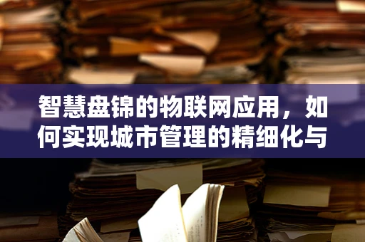 智慧盘锦的物联网应用，如何实现城市管理的精细化与智能化？