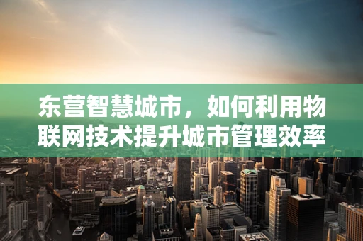 东营智慧城市，如何利用物联网技术提升城市管理效率？