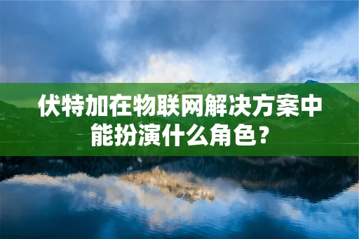 伏特加在物联网解决方案中能扮演什么角色？