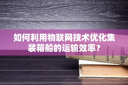 如何利用物联网技术优化集装箱船的运输效率？