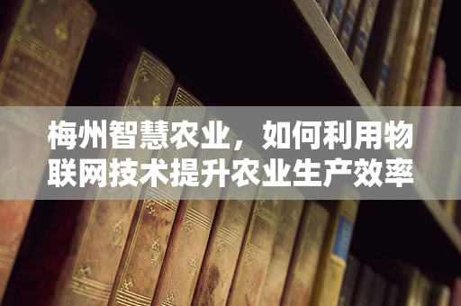 梅州智慧农业，如何利用物联网技术提升农业生产效率？