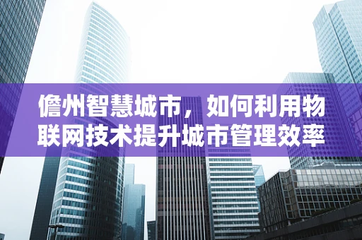 儋州智慧城市，如何利用物联网技术提升城市管理效率？