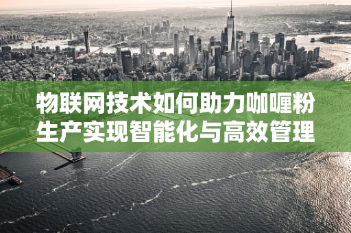 物联网技术如何助力咖喱粉生产实现智能化与高效管理？