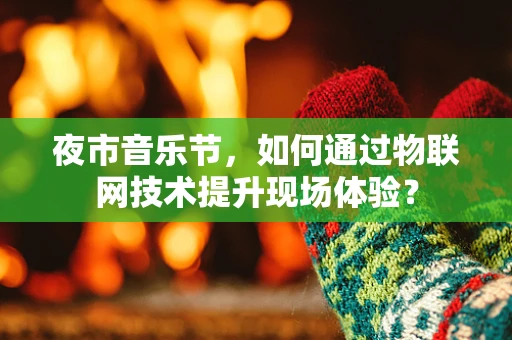 夜市音乐节，如何通过物联网技术提升现场体验？