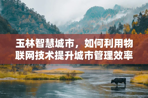 玉林智慧城市，如何利用物联网技术提升城市管理效率？