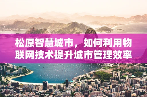松原智慧城市，如何利用物联网技术提升城市管理效率？