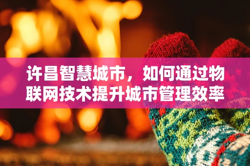 许昌智慧城市，如何通过物联网技术提升城市管理效率？