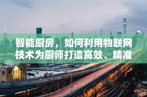 智能厨房，如何利用物联网技术为厨师打造高效、精准的烹饪环境？