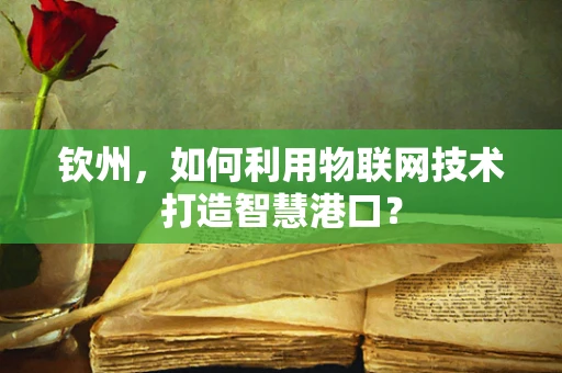 钦州，如何利用物联网技术打造智慧港口？
