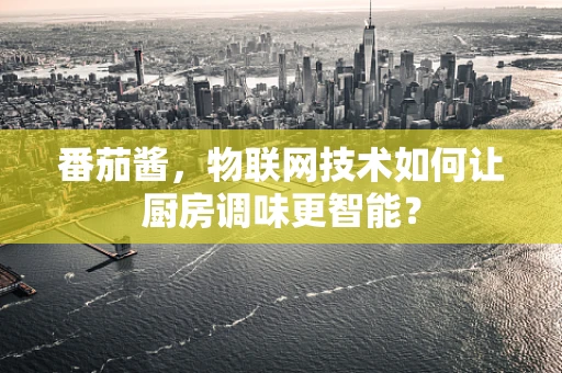 番茄酱，物联网技术如何让厨房调味更智能？