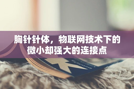 胸针针体，物联网技术下的微小却强大的连接点