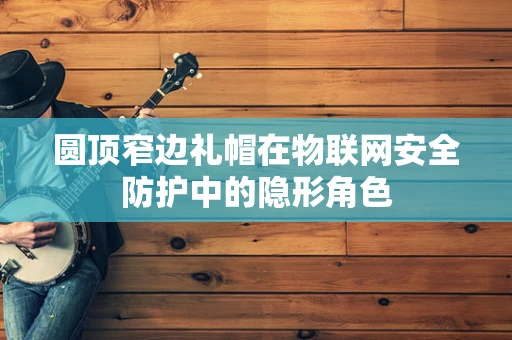 圆顶窄边礼帽在物联网安全防护中的隐形角色