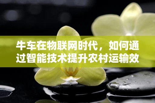 牛车在物联网时代，如何通过智能技术提升农村运输效率？